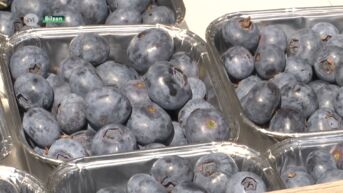 Fruitteler geeft gratis bessen weg uit protest