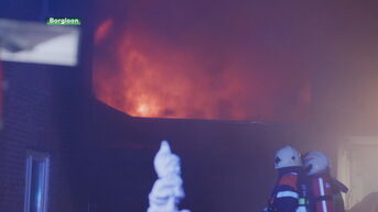 Drie bewoners raken lichtgewond bij zware brand in huis Borgloon