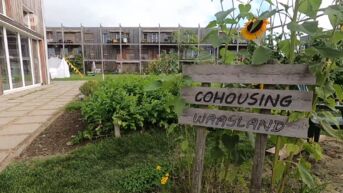 Architectuur: Cohousing Waasland in Sint-Niklaas