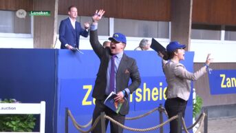 Reeks Zangersheide (deel 6): de veiling