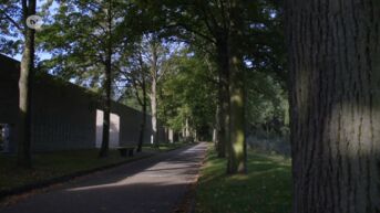 Architectuur: Unieke begraafplaats Schoonselhof in Antwerpen