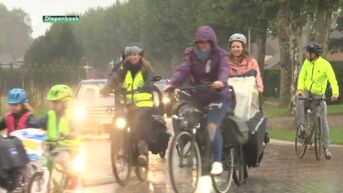Diepenbeek laat inwoners zelf beslissen over mobiliteit in het centrum