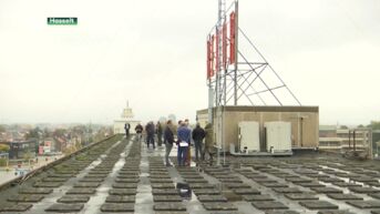 Recor-site in Hasselt krijgt nieuwe bestemming
