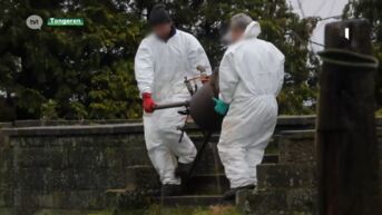 Politie Tongeren rolde dit jaar al zes drugsbendes op