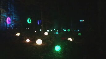 'Magie in 't bos ' in Ham