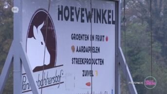 Hallo WOA: Korte Keten - Pannenbakkershof