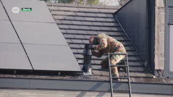 Militairen kammen tuin uit in Genk