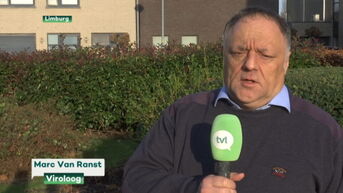 Nooit eerder zoveel coronabesmettingen in Limburg: moeten we ons nu zorgen maken?
