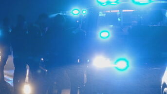Politie rijdt mogelijke dader van diefstal klem op de E313
