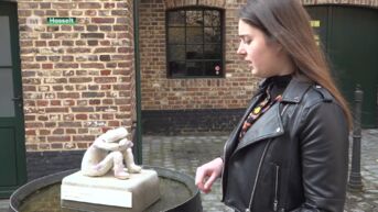 Traumakunstwerk gestolen uit stadspark in Hasselt