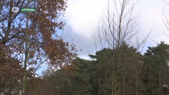 Vrijdag rukwinden tot 110 kilometer per uur in Limburg