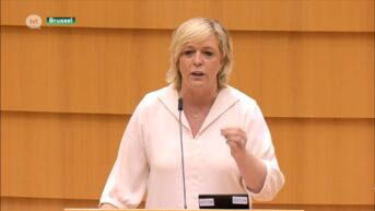 Truiense Hilde Vautmans pleit in Europees Parlement voor eengemaakt leger
