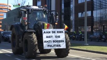 Honderden jonge boeren protesteren tegen het stikstofakkoord
