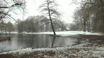 Limburg wordt morgen wakker onder een sneeuwtapijt