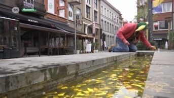 Afval van carnaval in Hasselt is anderhalve week later nog niet overal opgeruimd