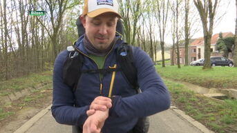 Bilzenaar wandelt naar Rome voor het goede doel