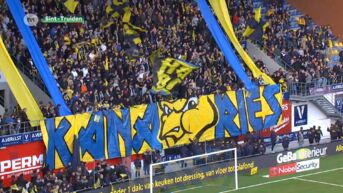 Stef Wijnants: