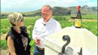 TVL in Zuid-Afrika,  de wijnroutes
