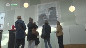 Kunstennacht in Hasselt breekt record met 8.500 bezoekers