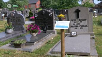 Stad Peer maakt begraafplaatsen klaar voor de toekomst