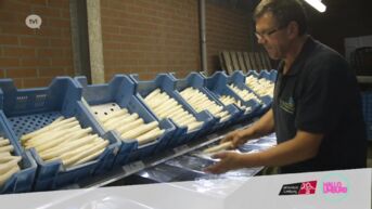 Hallo WOA: Asperges