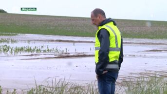 Overstromingen zoals dit weekend in Limburg zullen steeds vaker voorkomen