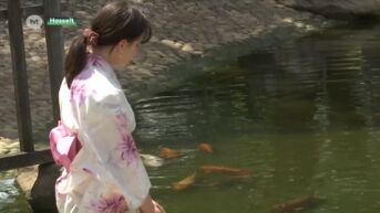 Wensen doen in de Japanse Tuin tijdens Tanabata