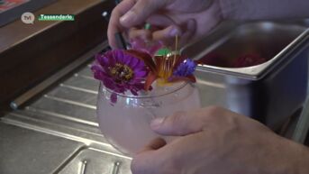 Bar Bloem serveert drankjes met bloemen in Tessenderlo