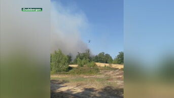 Natuurbrand in Oudsbergen flakkert weer op
