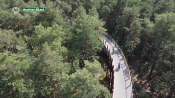 Fietsen door de bomen lokt in drie jaar tijd 750.000 fietsers