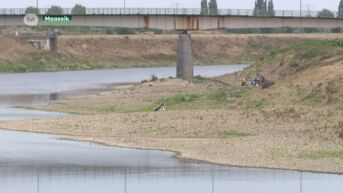 Vlaamse Waterweg neemt maatregelen tegen droogte