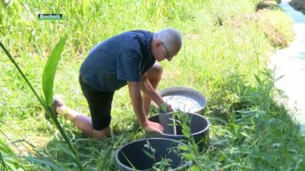 Bocholtse boer voorziet als eerste in België zijn akkers van water door subirrigatie