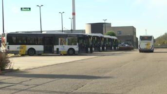 Genk krijgt eerste Limburgse stelplaats elektrische bussen