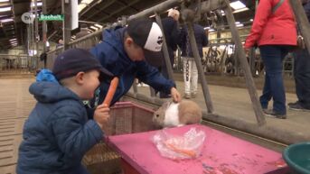 Zeven Limburgse bedrijven zetten deuren open tijdens Dag van de Landbouw