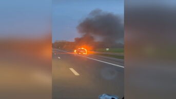 Zware autobrand op E313 in Bilzen zorgt voor grote verkeershinder richting Hasselt