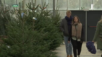 Tuincentra starten verkoop van echte kerstbomen: vraag blijft groot