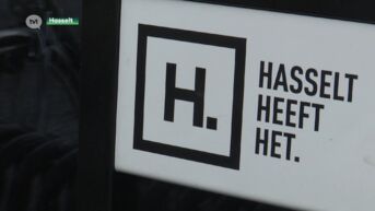 cd&v wil dat burgemeester Vandeput Alken en Diepenbeek overtuigt om toch te fuseren met Hasselt