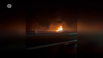 Auto brandt volledig uit op E314 in Heusden-Zolder