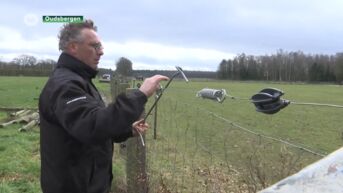 Burgemeester Oudsbergen vraagt extra middelen voor Wolf Fencing Team
