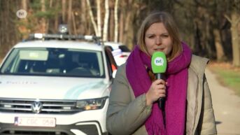 Wandelaar vindt lichaam van Emilietta Chini in Mechels Bos