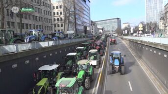 3000 tractoren leggen hoofdstad lam