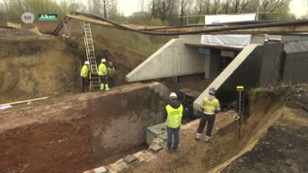 Nieuwe betonnen spoorwegbrug in Alken succesvol geplaatst