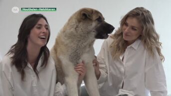 Julie Van den Steen en Elisa Guaracci zoeken gouden mandje voor honden uit Genks dierenasiel