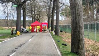 Dodelijk verkeersongeval op Vliegveldlaan: Zestiger uit Bocholt overlijdt na botsing tegen boom