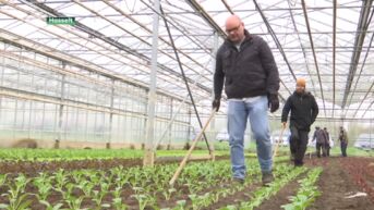 Biolandbouw moet groeien naar vijf procent van totale landbouw in Vlaanderen