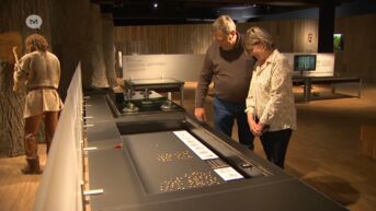 Tongeren koopt tweeduizend jaar oude goudmunten van vinder in Vechmaal