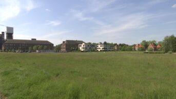 Houtpark Beringen: openbaar onderzoek begonnen