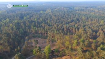 VOKA roept gemeenten op om niet in Nationaal Park Bosland te stappen