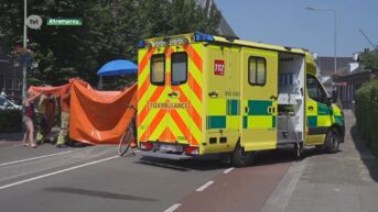 10-jarige fietser uit Kinrooi zwaargewond bij ongeval in Nederland