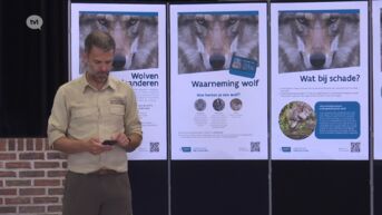 Weinig interesse voor infomoment wolven in Oudsbergen